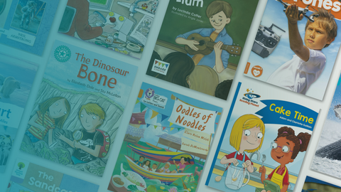 LEVELED READERS