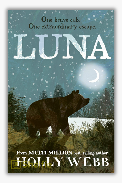 LUNA (Winter Animal Stories) by Holly Webb