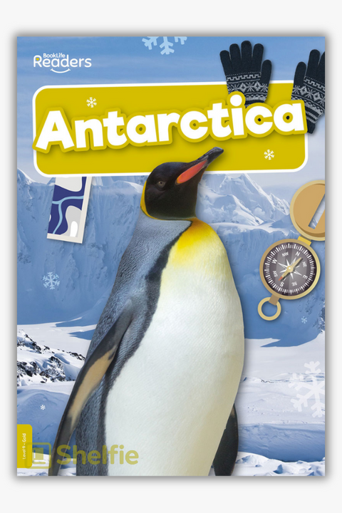 ANTARCTICA by Shalini Vallepur