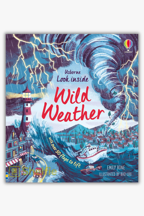 LOOK INSIDE: WILD WEATHER (Usborne Lift-the-Flap) by Emily Bone