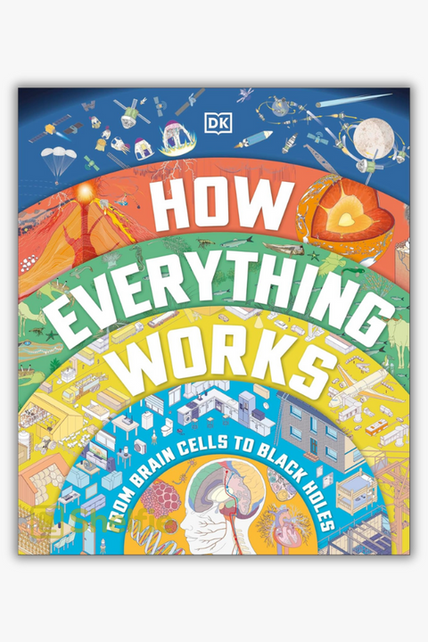 HOW EVERYTHING WORKS - FROM BRAIN CELLS TO BLACK HOLES by Peter Francis & Rob Houston