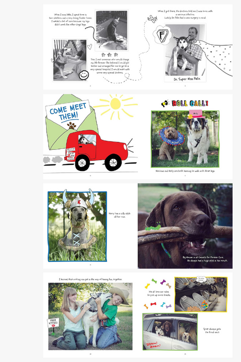 ANTOINE'S TALE: AN EXTRAORDINARY SHELTER DOG'S JOURNEY by Janet Curran