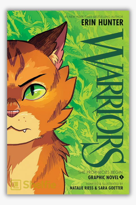 WARRIORS GRAPHIC NOVEL: THE PROPHECIES BEGIN #1 by Erin Hunter