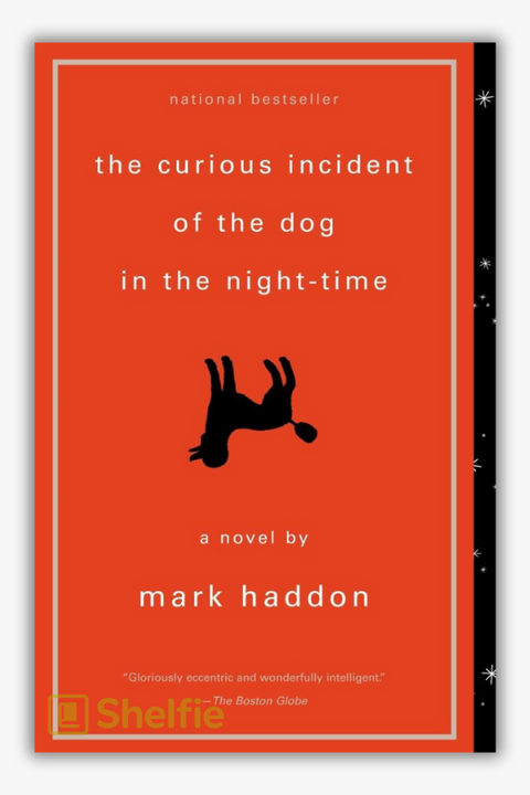 THE CURIOUS INCIDENT OF THE DOG IN THE NIGHT-TIME by Mark Haddon