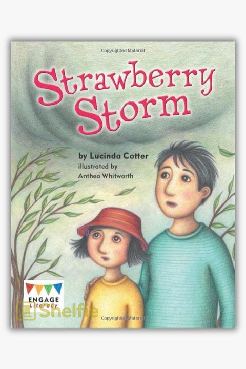 STRAWBERRY STORM by Lucinda Cotter
