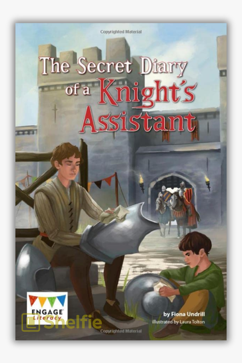 THE SECRET DIARY OF A KNIGHT'S ASSISTANT by Fiona Undrill