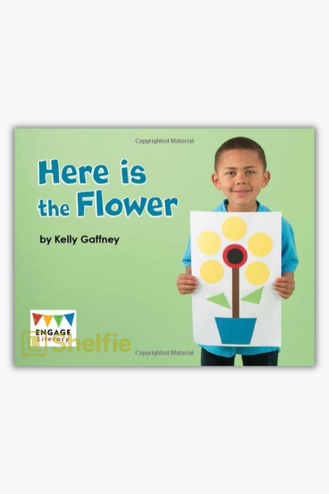 HERE IS THE FLOWER by Kelly Gaffney