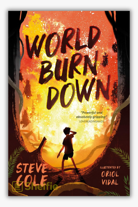 WORLD BURN DOWN by Steve Cole