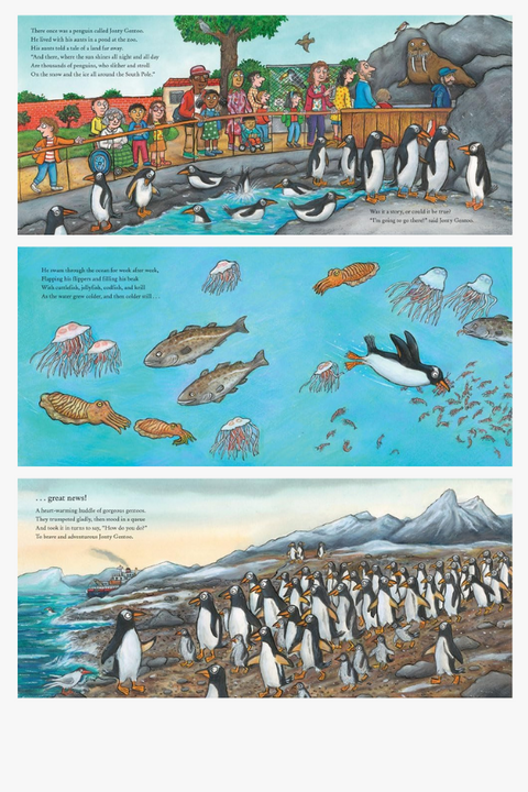 JONTY GENTOO: THE ADVENTURE OF A PENGUIN by Julia Donaldson