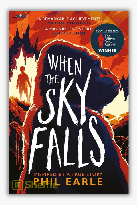 WHEN THE SKY FALLS by Phil Earle