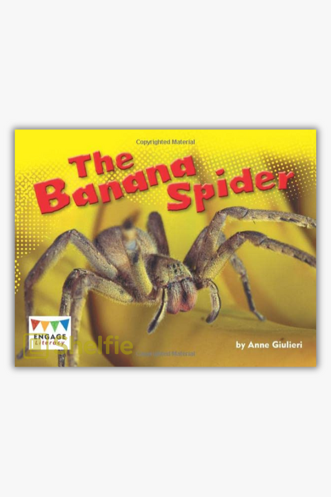 THE BANANA SPIDER by Anne Giulieri