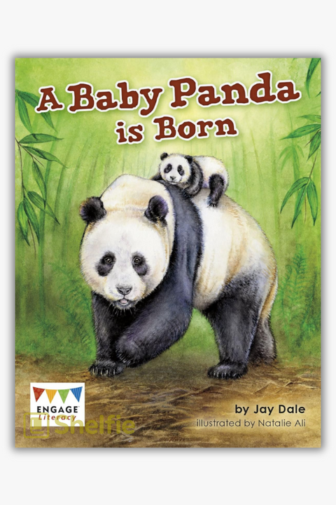 A BABY PANDA IS BORN by Jay Dale