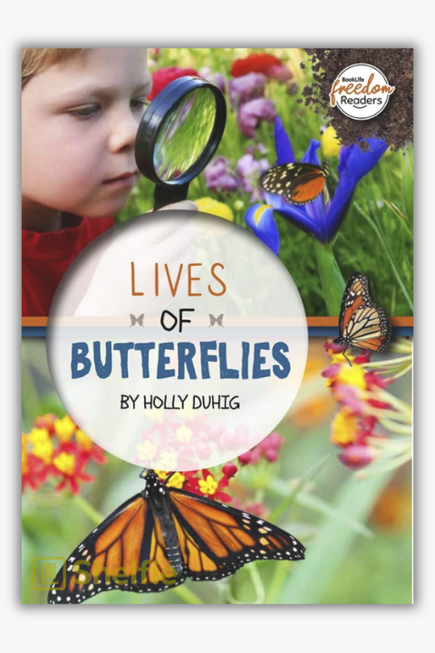 LIVES OF BUTTERFLIES by Holly Duhig