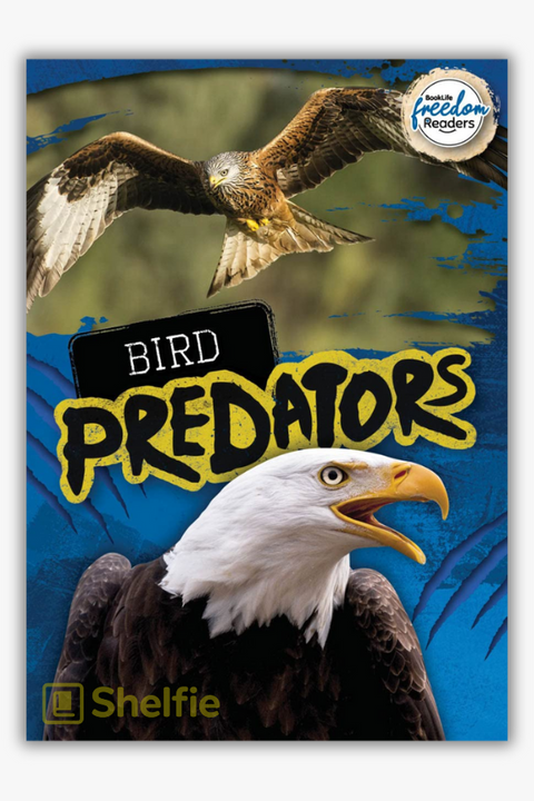 BIRD PREDATORS by Mignonne Gunaesekara