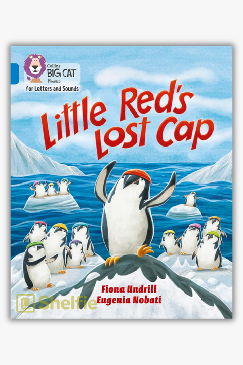 LITTLE RED'S LOST CAP by Fiona Undrill