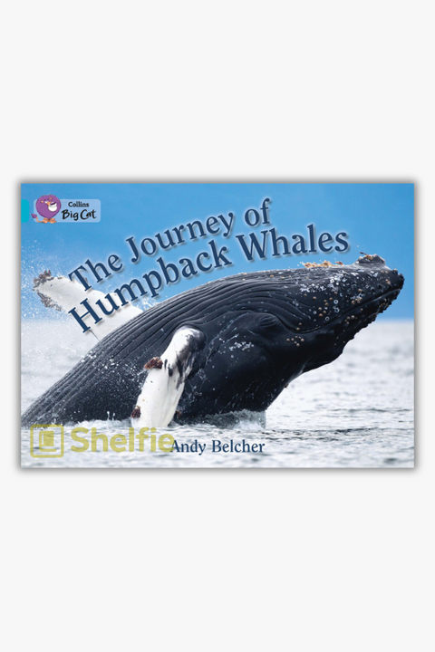 THE JOURNEY OF HUMPBACK WHALES by Andy Belcher