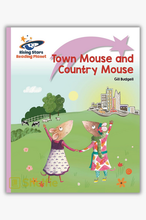 TOWN MOUSE AND COUNTRY MOUSE by Gill Budgell