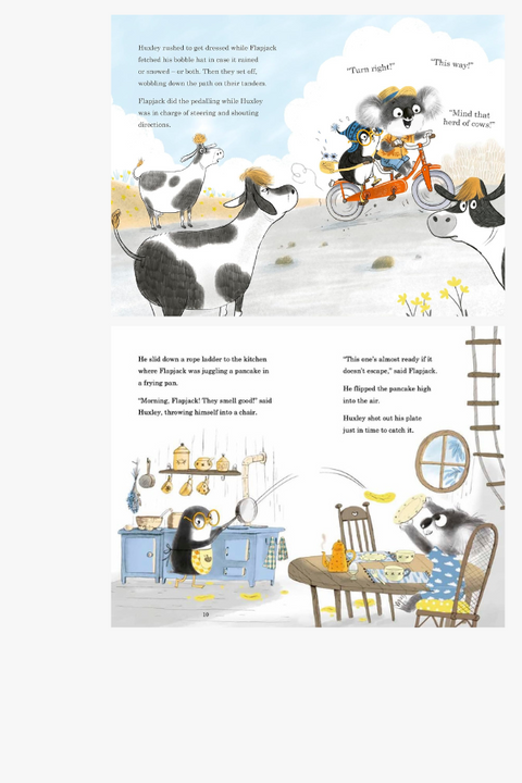 HUXLEY AND FLAPJACK: RACE TO THE RESCUE by Alan MacDonald