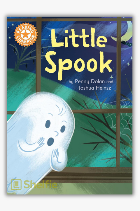 LITTLE SPOOK by Penny Dolan