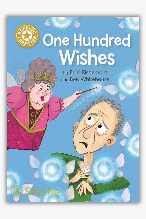 ONE HUNDRED WISHES by Enid Richemont