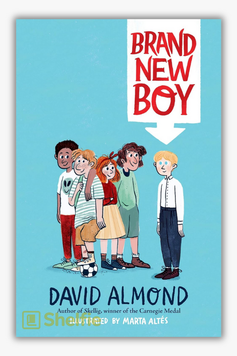 BRAND NEW BOY by David Almond