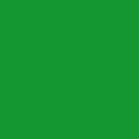 BOOK BAND: Level 5 (Green)