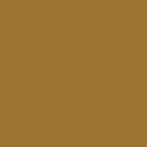 BOOK BAND: Level 12 (Brown)