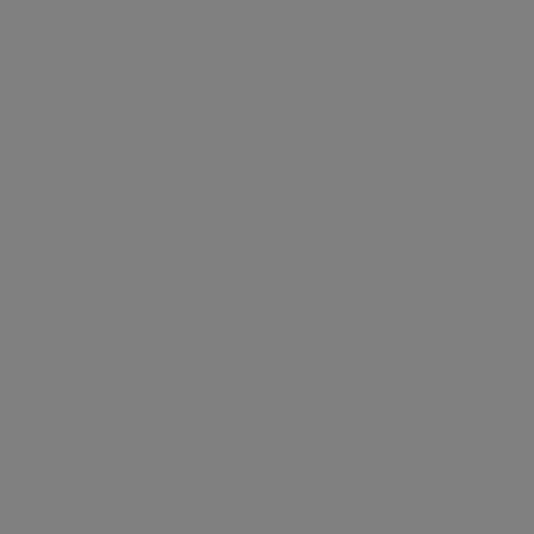 BOOK BAND: Level 13 (Grey)