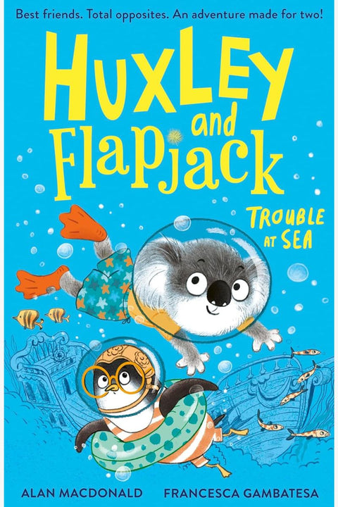 HUXLEY & FLAPJACK: TROUBLE AT SEA by Alan MacDonald