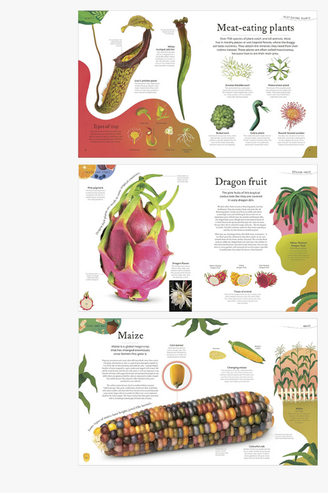 THE SECRET WORLD OF PLANTS by Ben Hoare