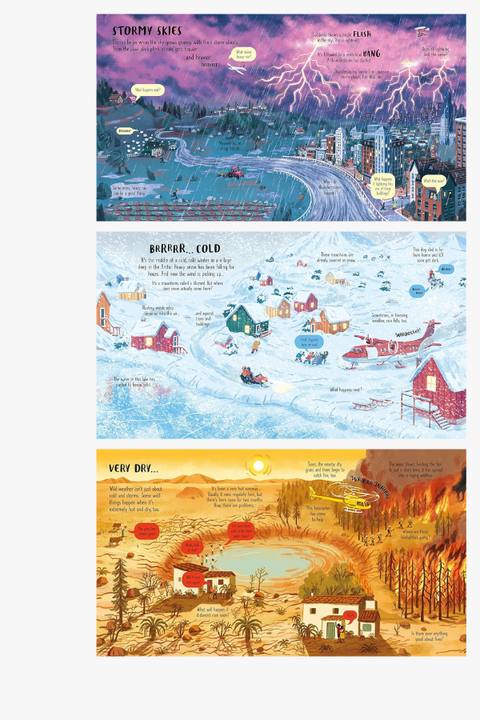 LOOK INSIDE: WILD WEATHER (Usborne Lift-the-Flap) by Emily Bone