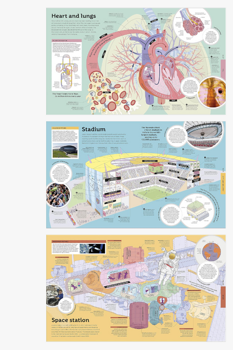 HOW EVERYTHING WORKS - FROM BRAIN CELLS TO BLACK HOLES by Peter Francis & Rob Houston