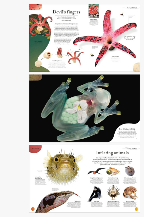 WEIRD AND WONDERFUL NATURE by Ben Hoare