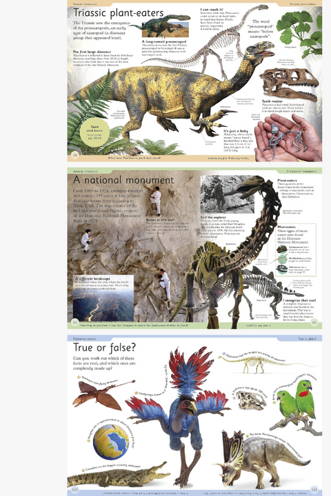 FIRST DINOSAUR ENCYCLOPEDIA by Caroline Bingham
