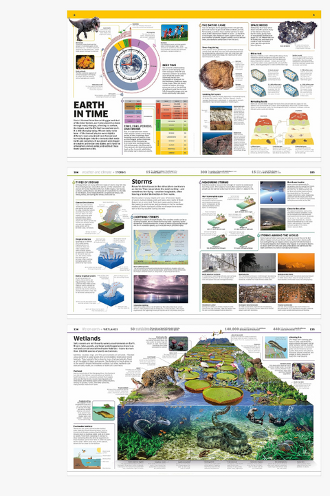 EARTH! KNOWLEDGE ENCYCLOPEDIA by Georgina Palffy