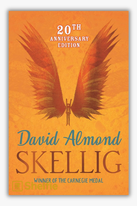 SKELLIG by David Almond
