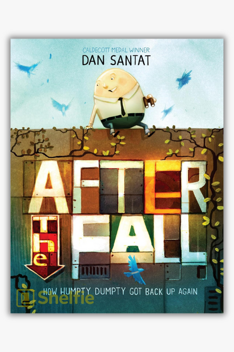 AFTER THE FALL by Dan Santat