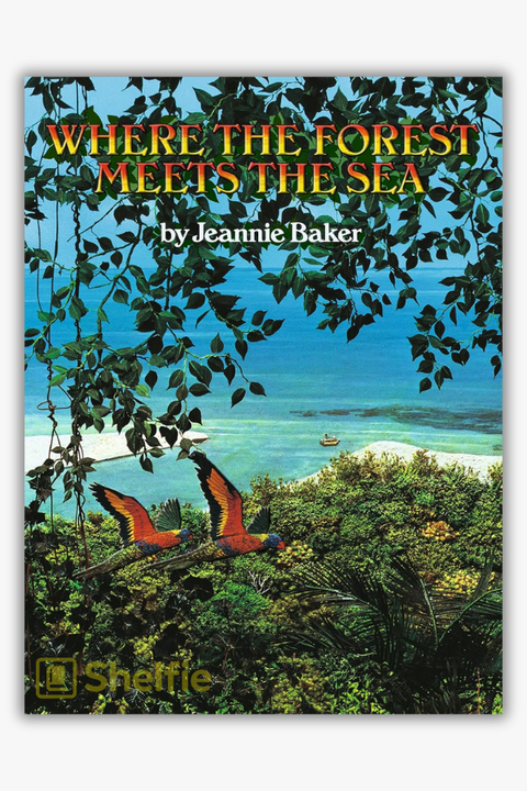 WHERE THE FOREST MEETS THE SEA by Jeannie Baker