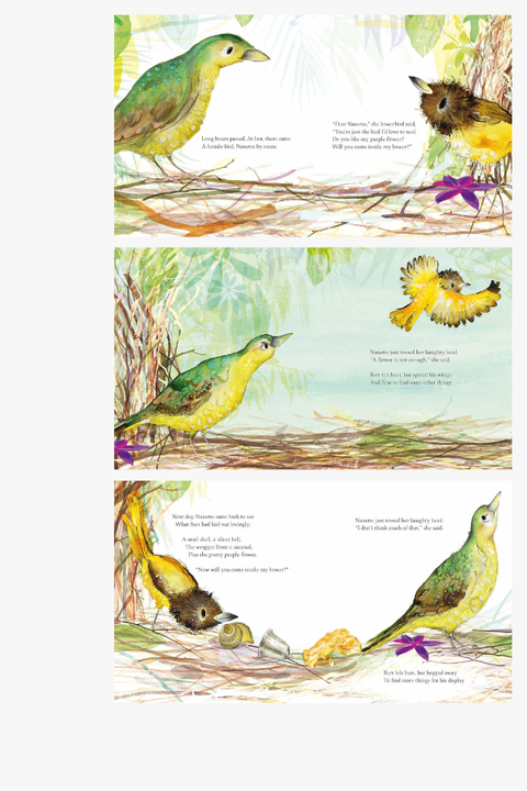 THE BOWERBIRD by Julia Donaldson & Catherine Rayner