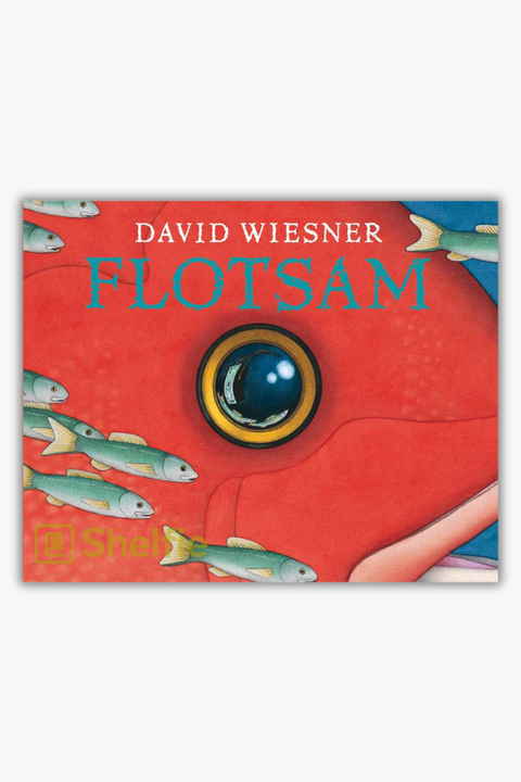 FLOTSAM by David Wiesner