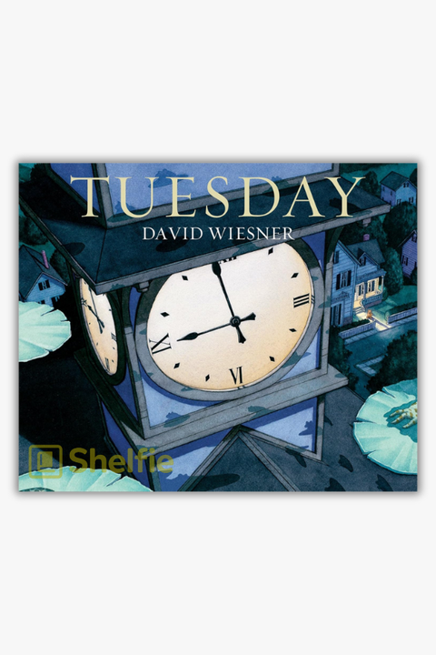TUESDAY by David Wiesner