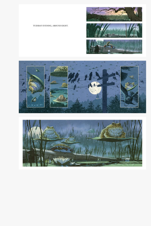 TUESDAY by David Wiesner