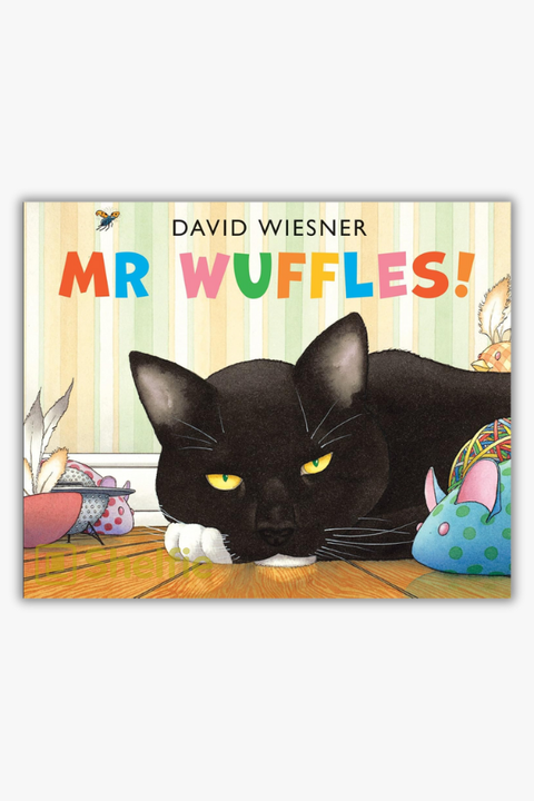 MR WUFFLES! by David Wiesner