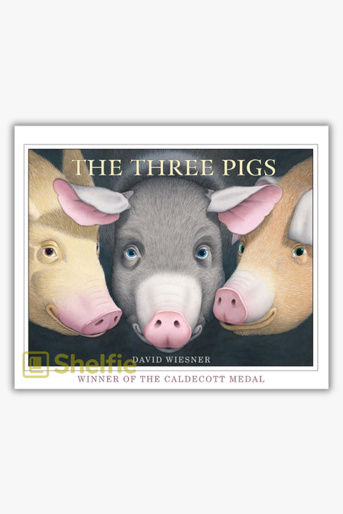 THE THREE PIGS by David Wiesner