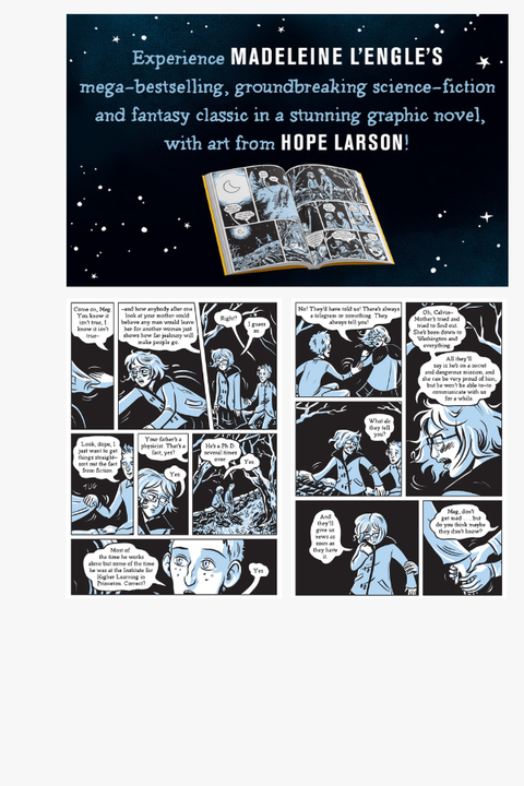 A WRINKLE IN TIME: GRAPHIC NOVEL by Madeleine L'Engle