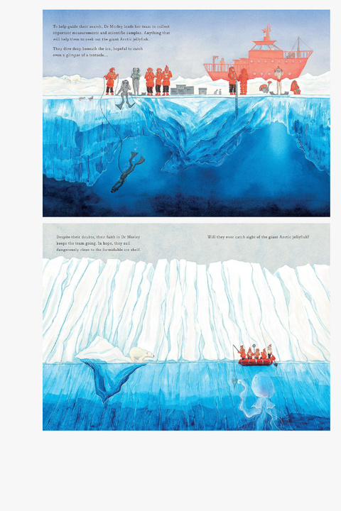 THE SEARCH FOR THE GIANT ARCTIC JELLYFISH by Chloe Savage