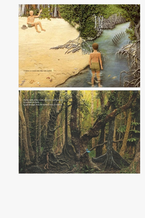 WHERE THE FOREST MEETS THE SEA by Jeannie Baker