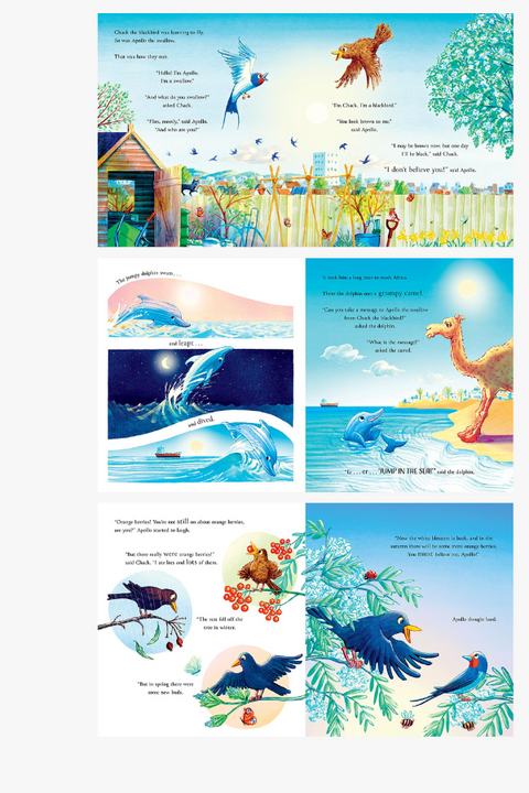 FOLLOW THE SWALLOW by Julia Donaldson & Thomas Docherty