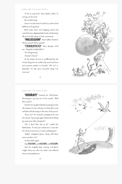 JAMES AND THE GIANT PEACH by Roald Dahl