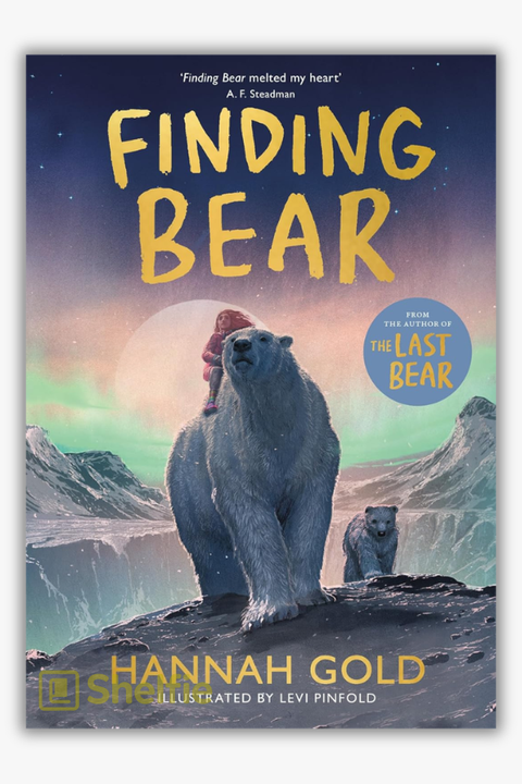 FINDING BEAR by Hannah Gold